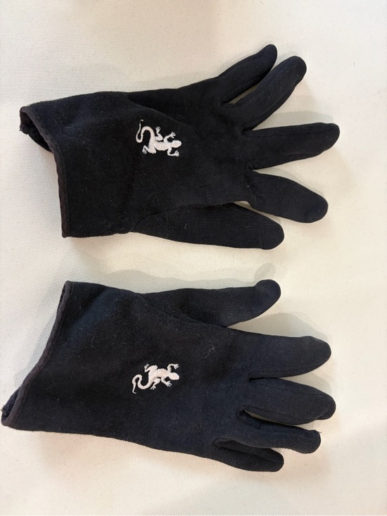 Agnes B. Accessories - Agnes B. Black Gloves with White Lizard Embroidery